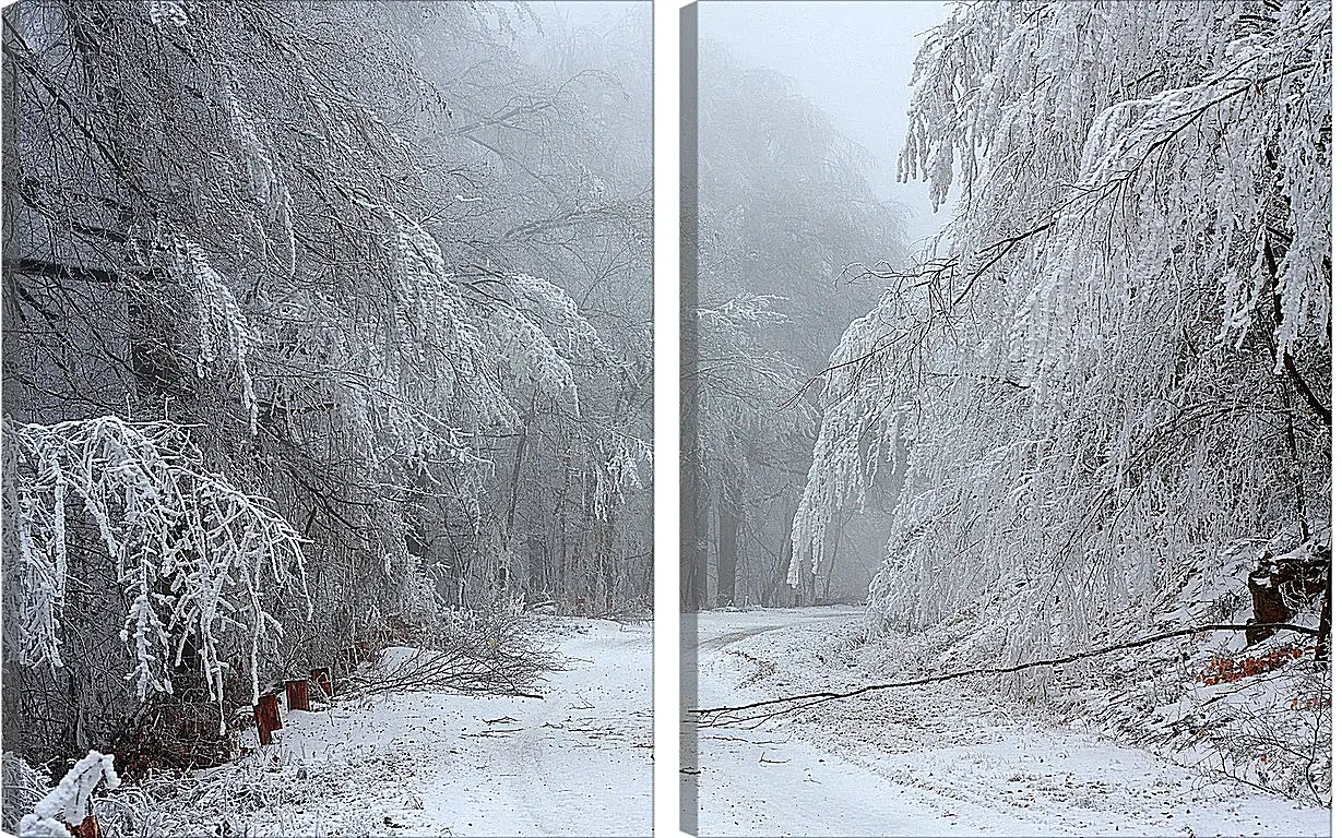 Модульная картина - Зима