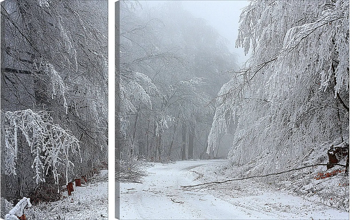 Модульная картина - Зима