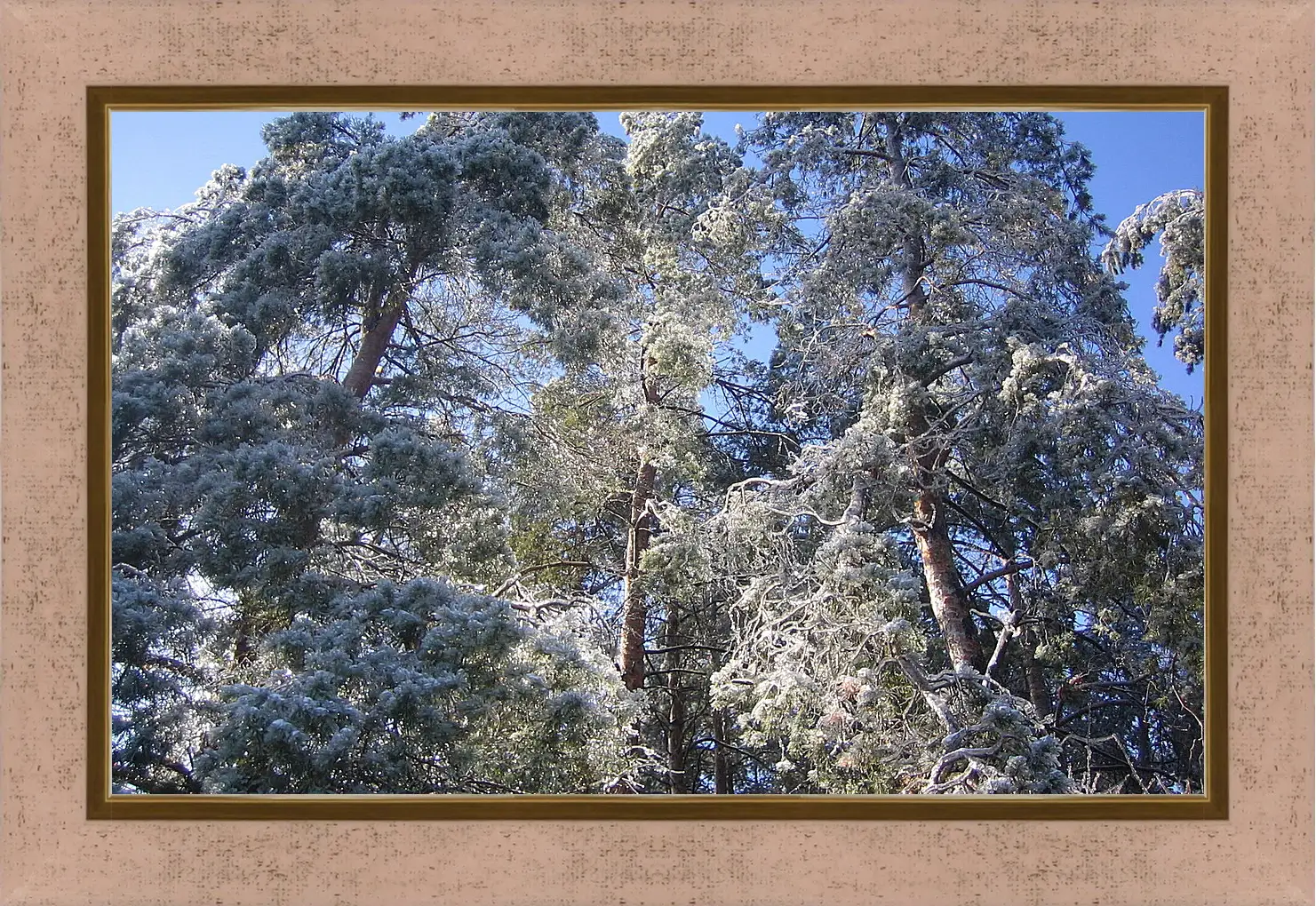 Картина в раме - Зима