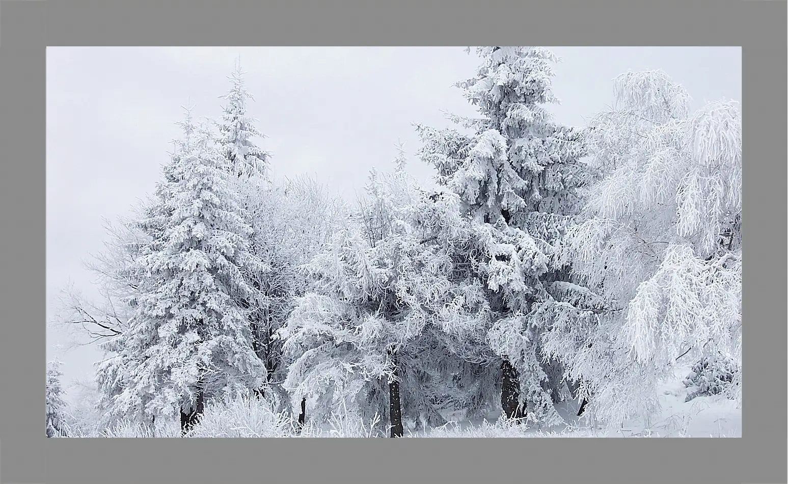 Картина в раме - Зима