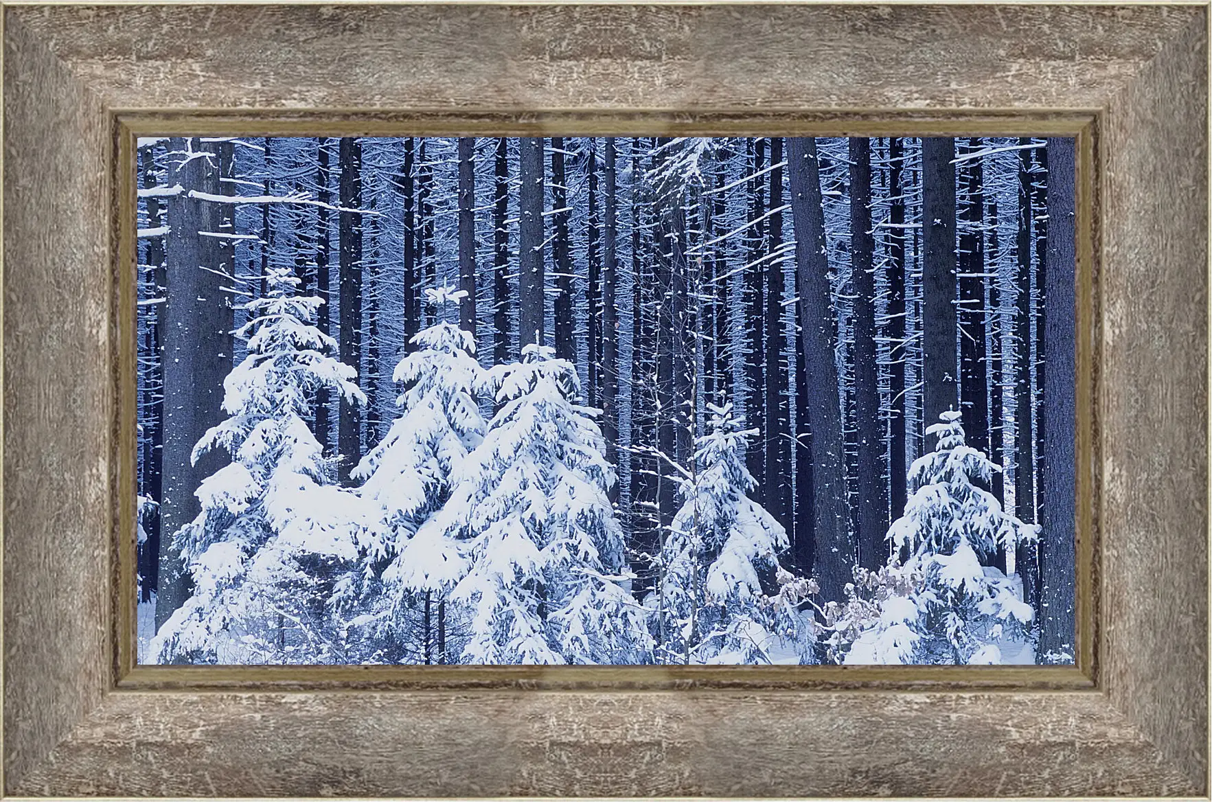Картина в раме - Зима