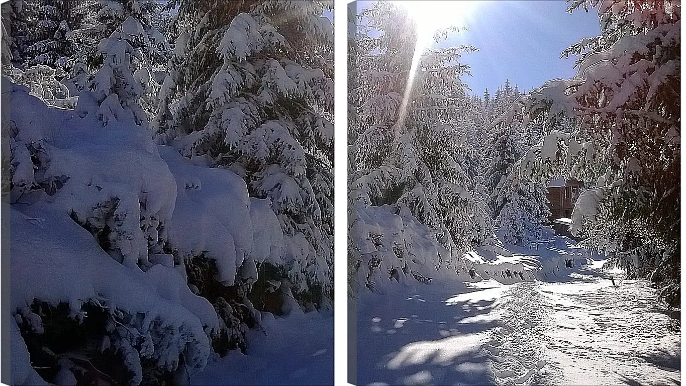 Модульная картина - Зима