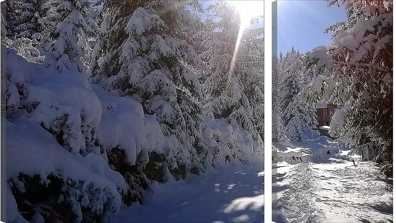 Модульная картина - Зима