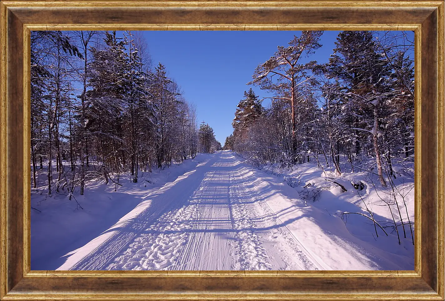 Картина в раме - Зима