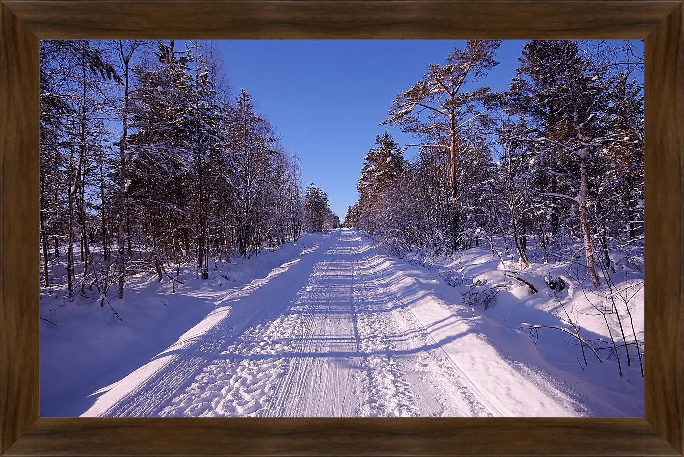 Картина в раме - Зима