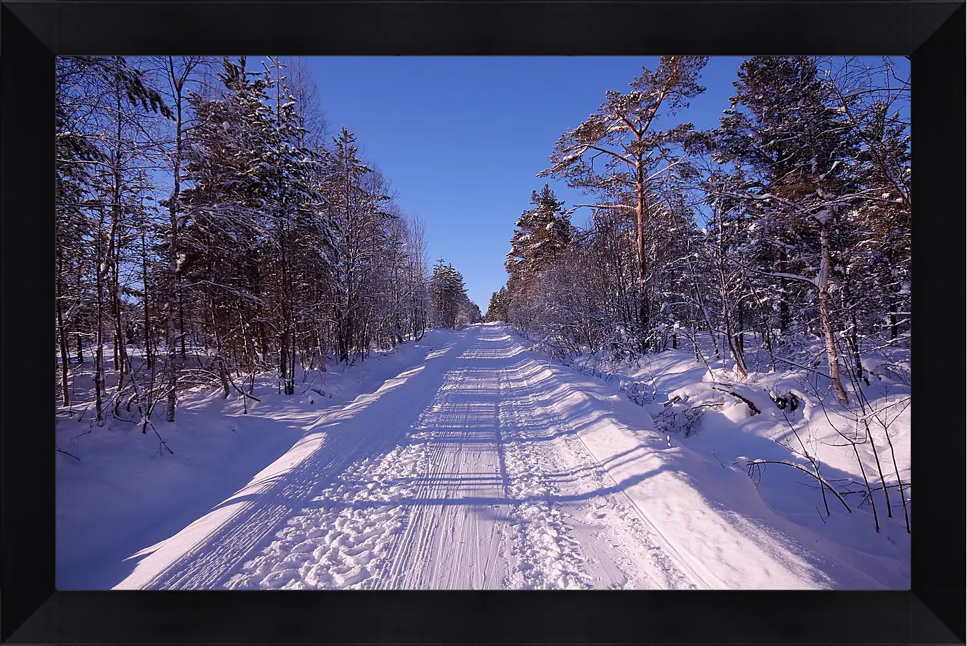 Картина в раме - Зима