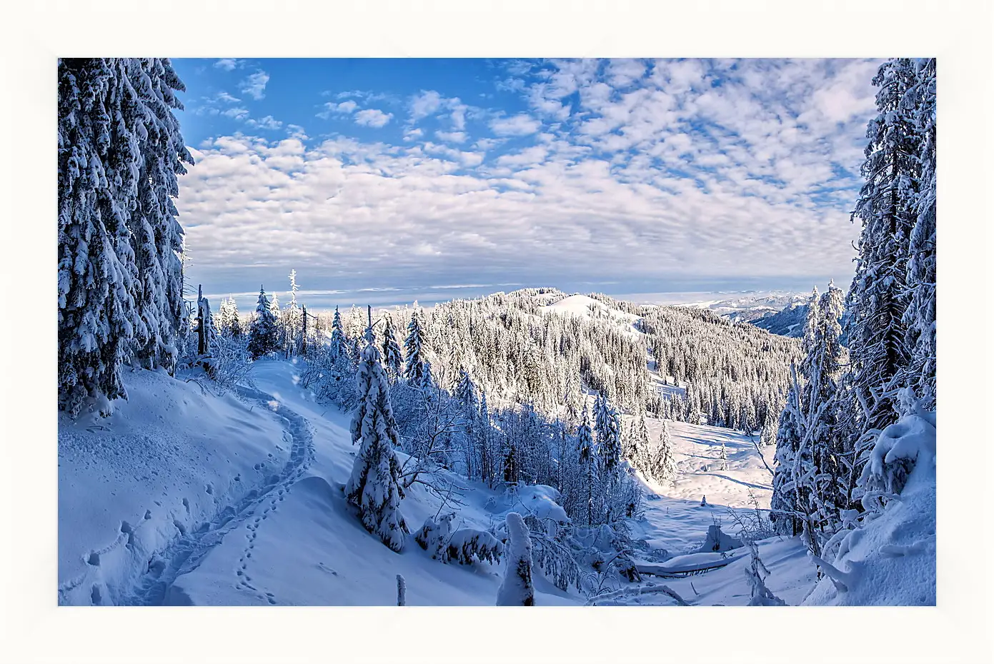 Картина в раме - Зима