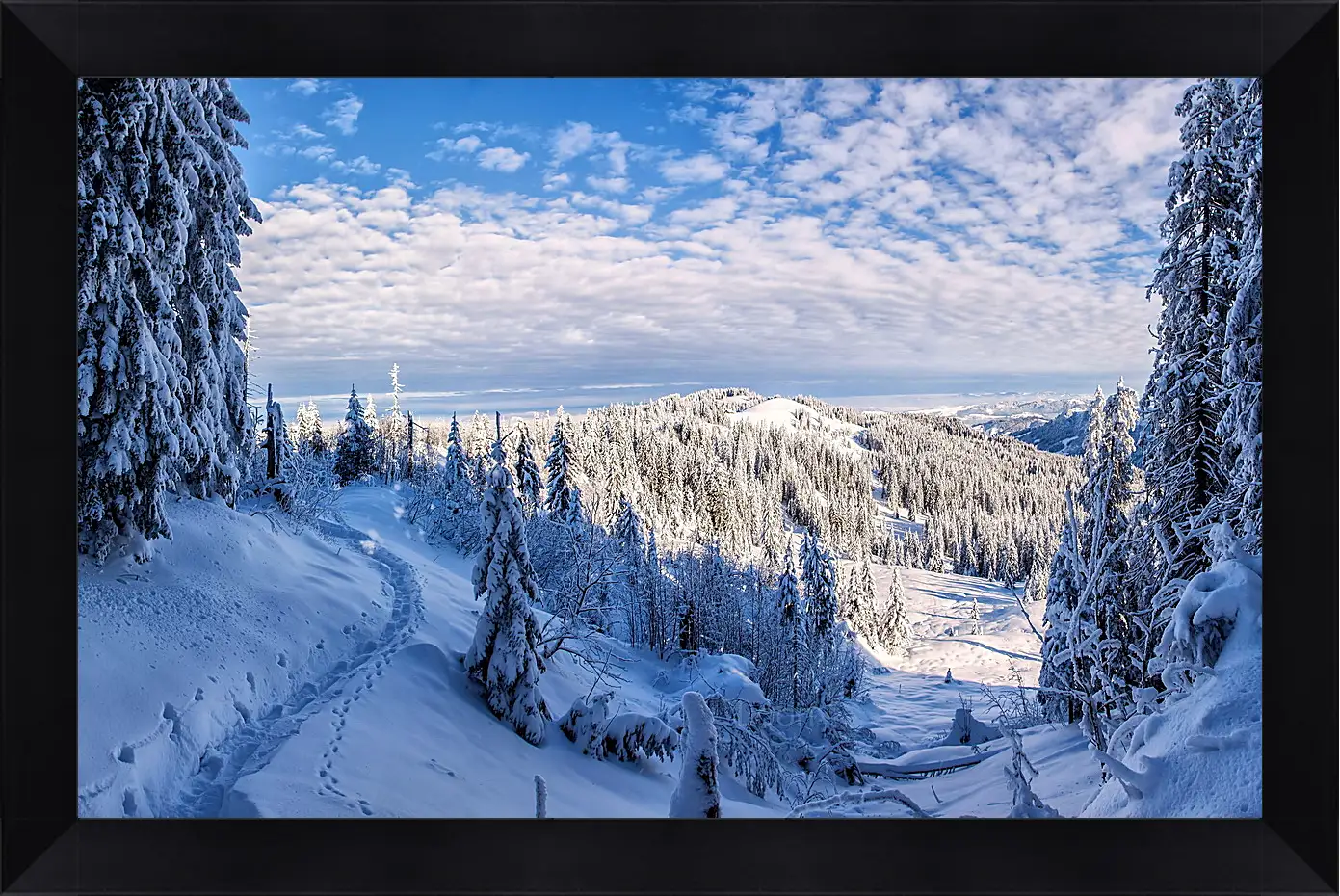 Картина в раме - Зима