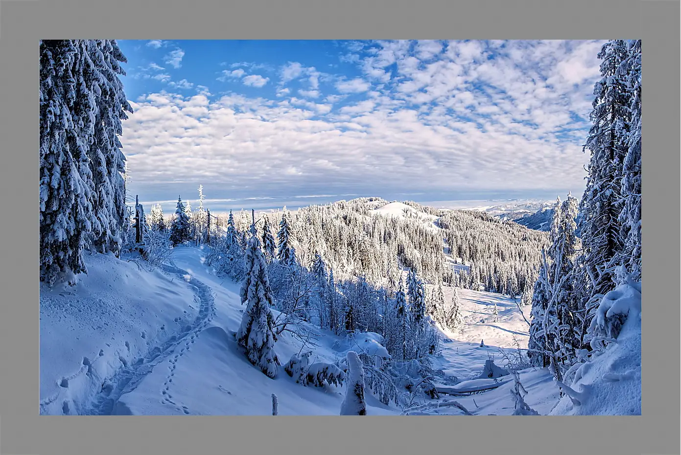 Картина в раме - Зима