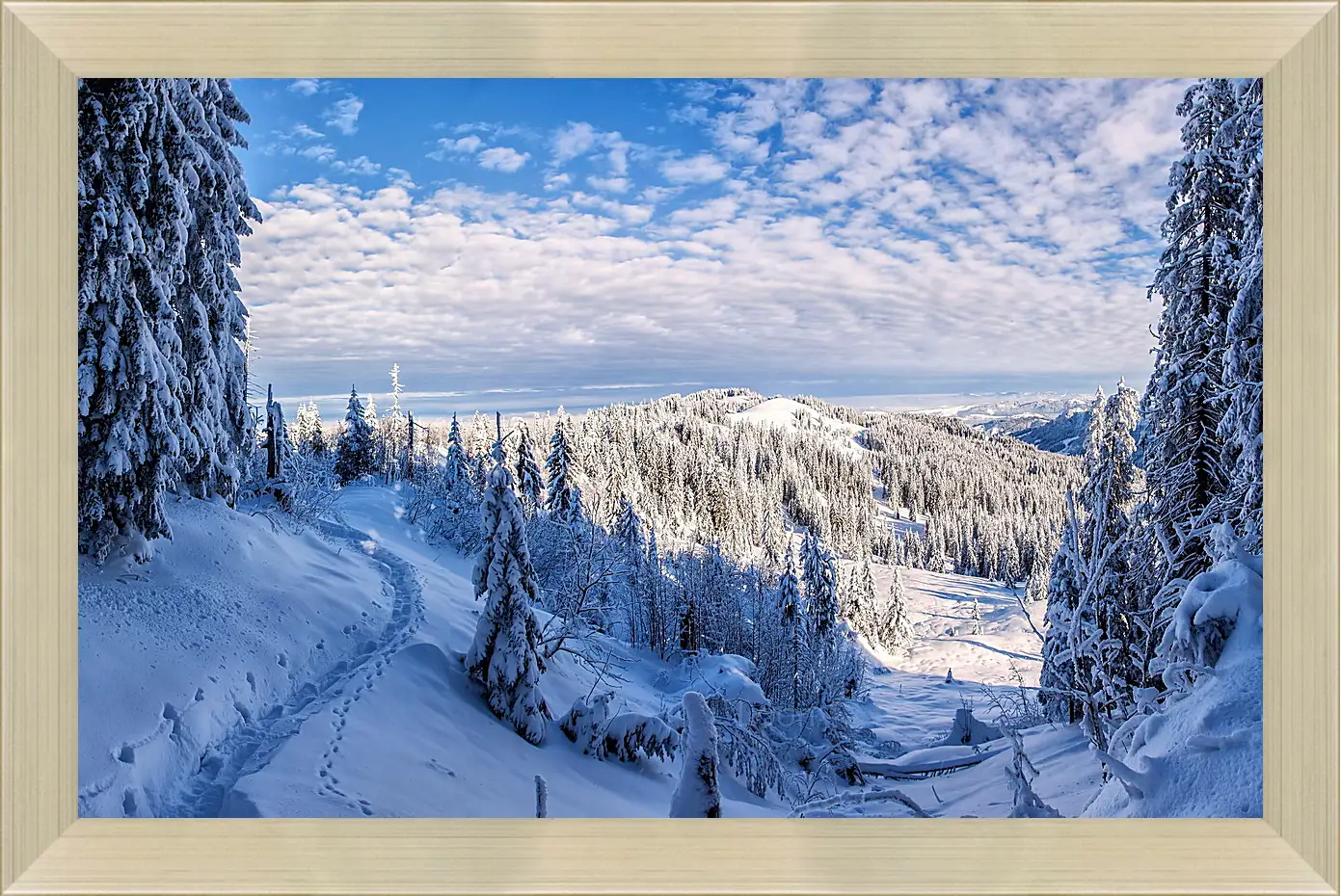 Картина в раме - Зима