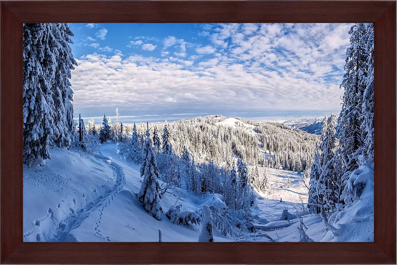 Картина в раме - Зима