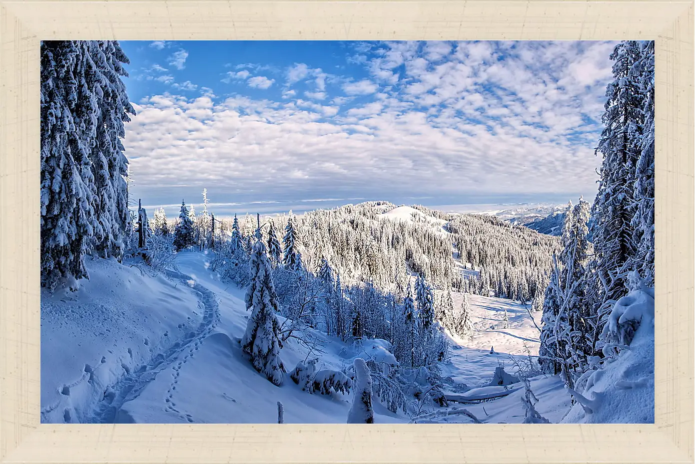 Картина в раме - Зима