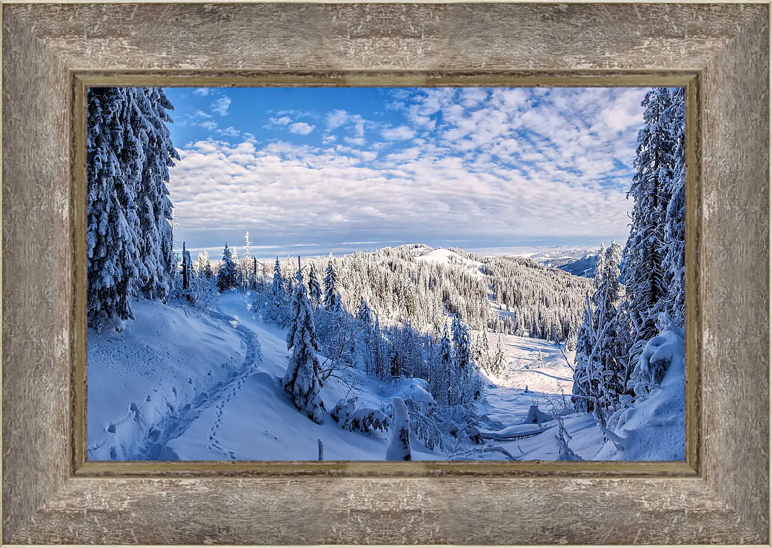 Картина в раме - Зима