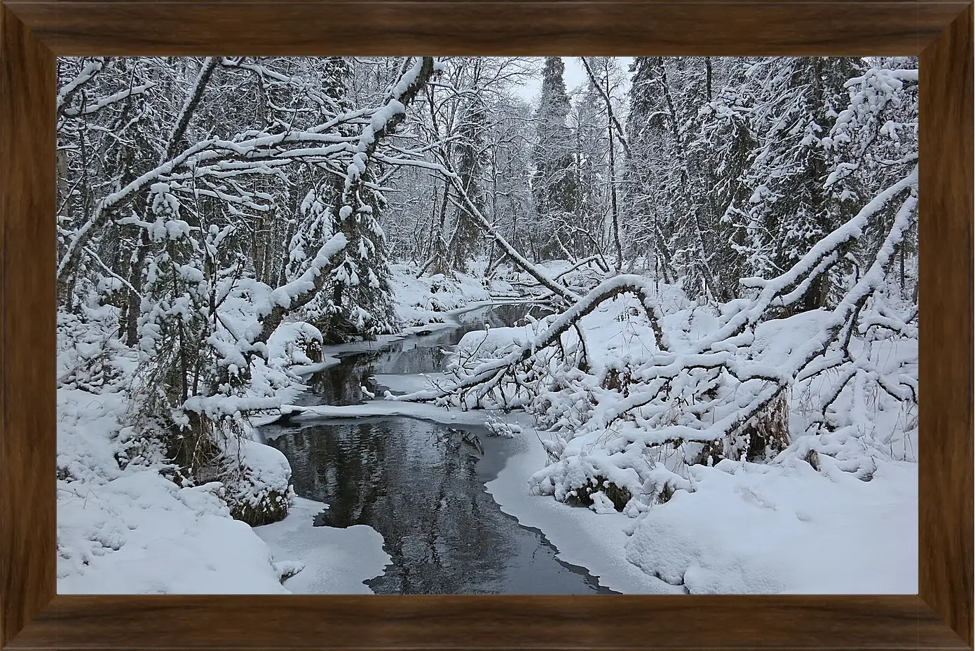 Картина в раме - Зима