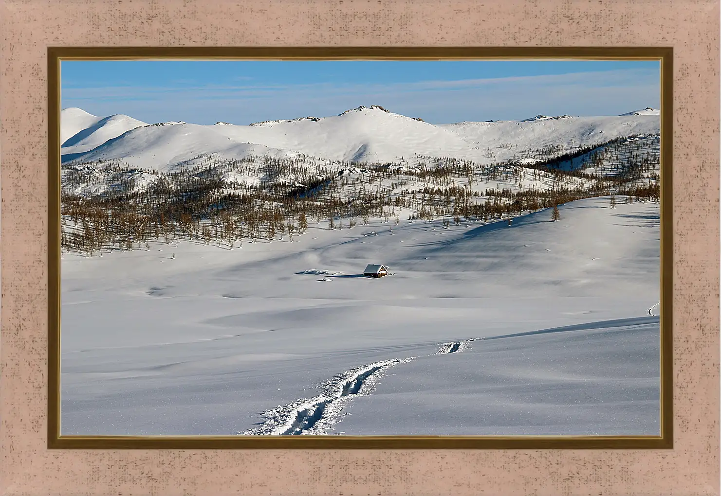 Картина в раме - Зима