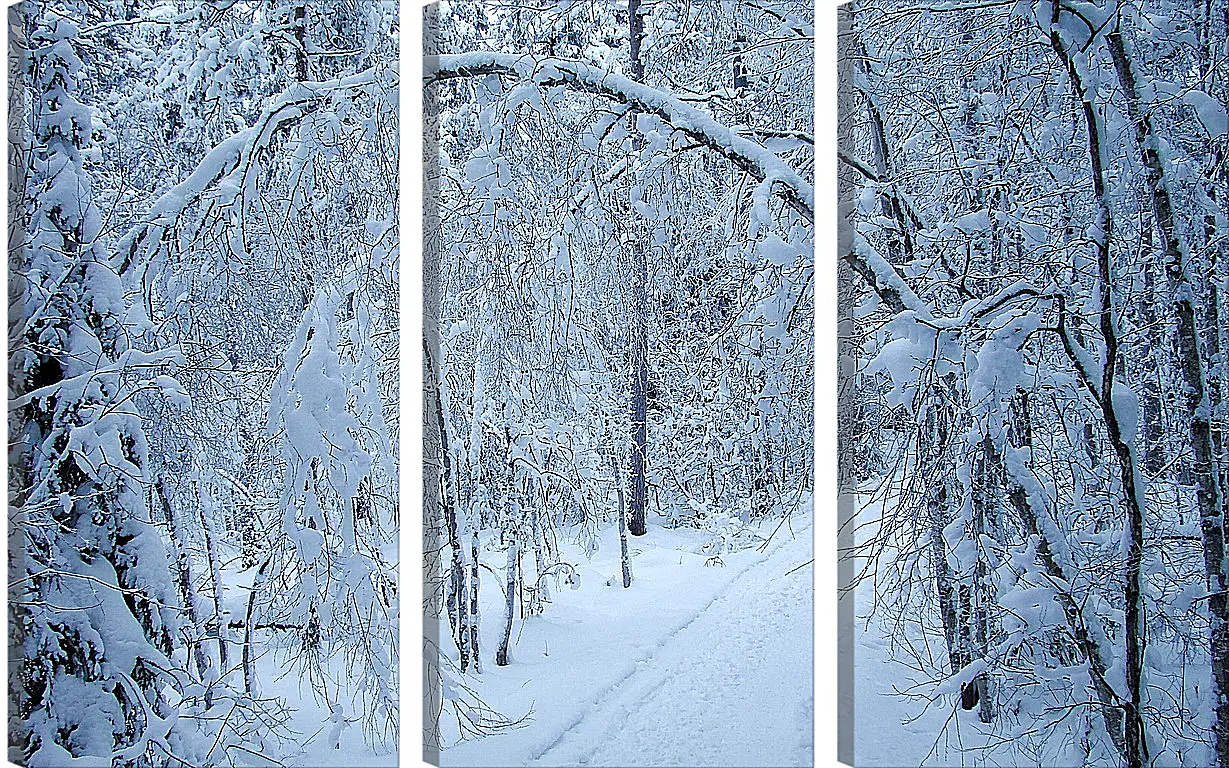 Модульная картина - Зима