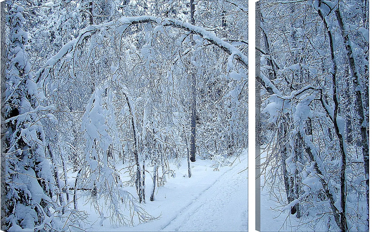 Модульная картина - Зима