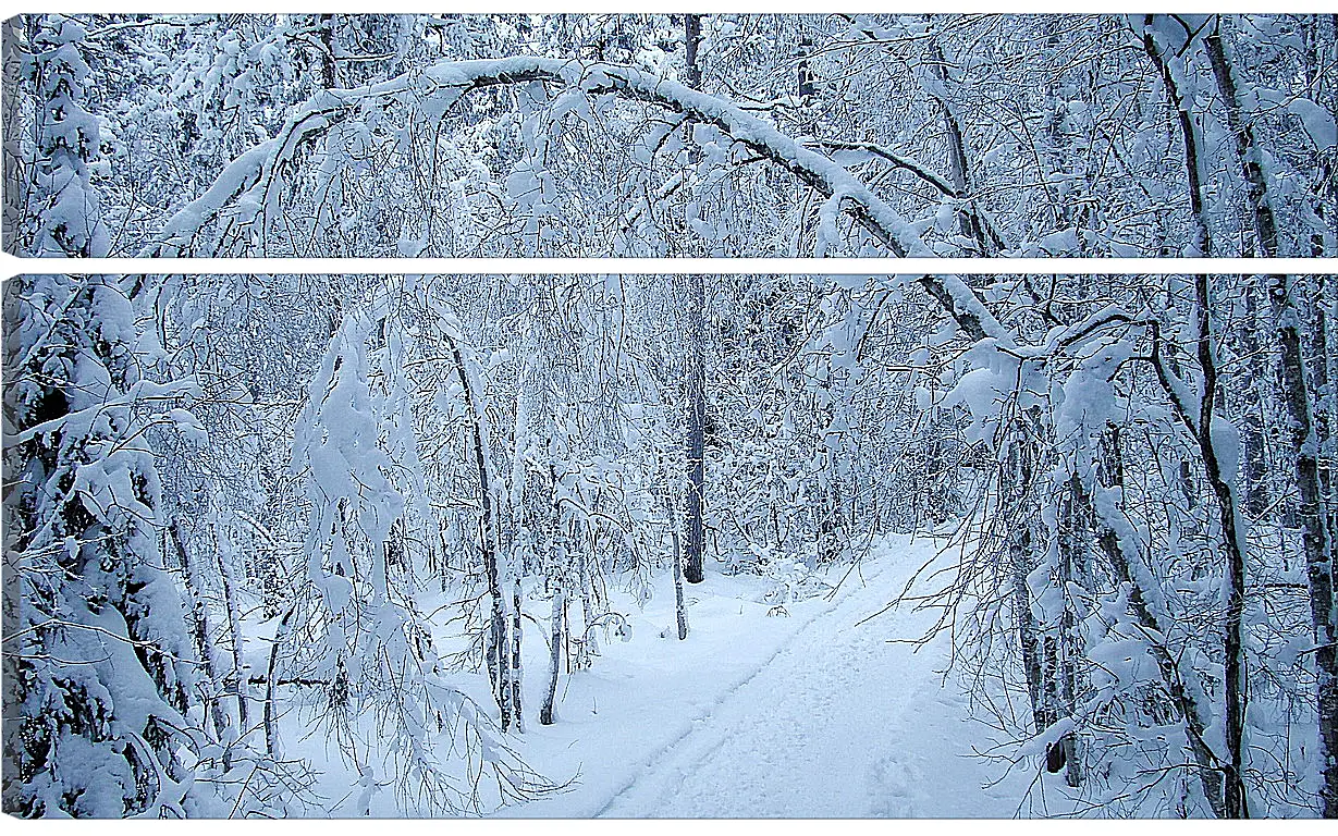 Модульная картина - Зима