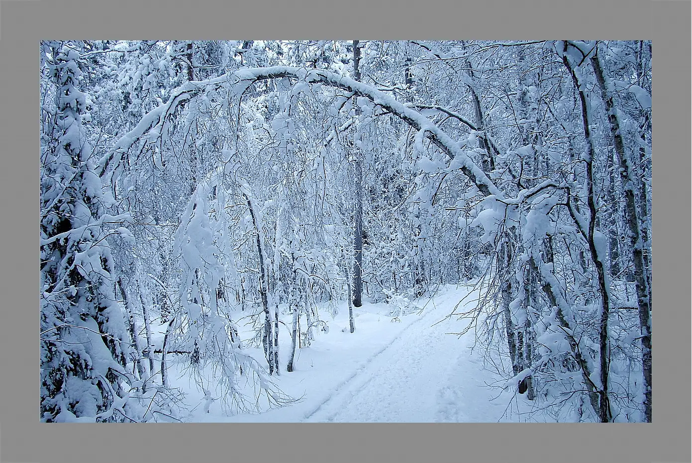 Картина в раме - Зима