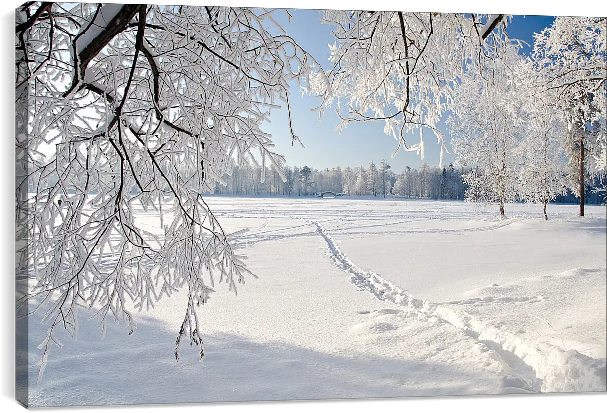 Постер и плакат - Зима