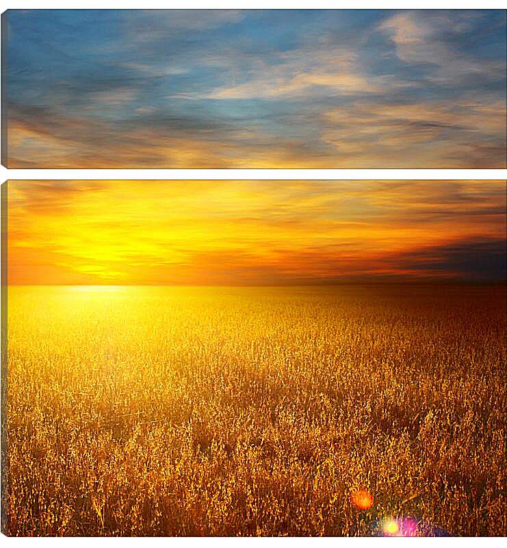 Модульная картина - Закат на пшеничном поле