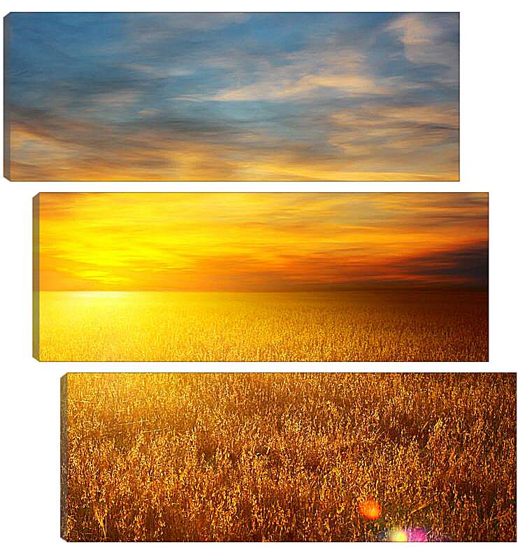Модульная картина - Закат на пшеничном поле