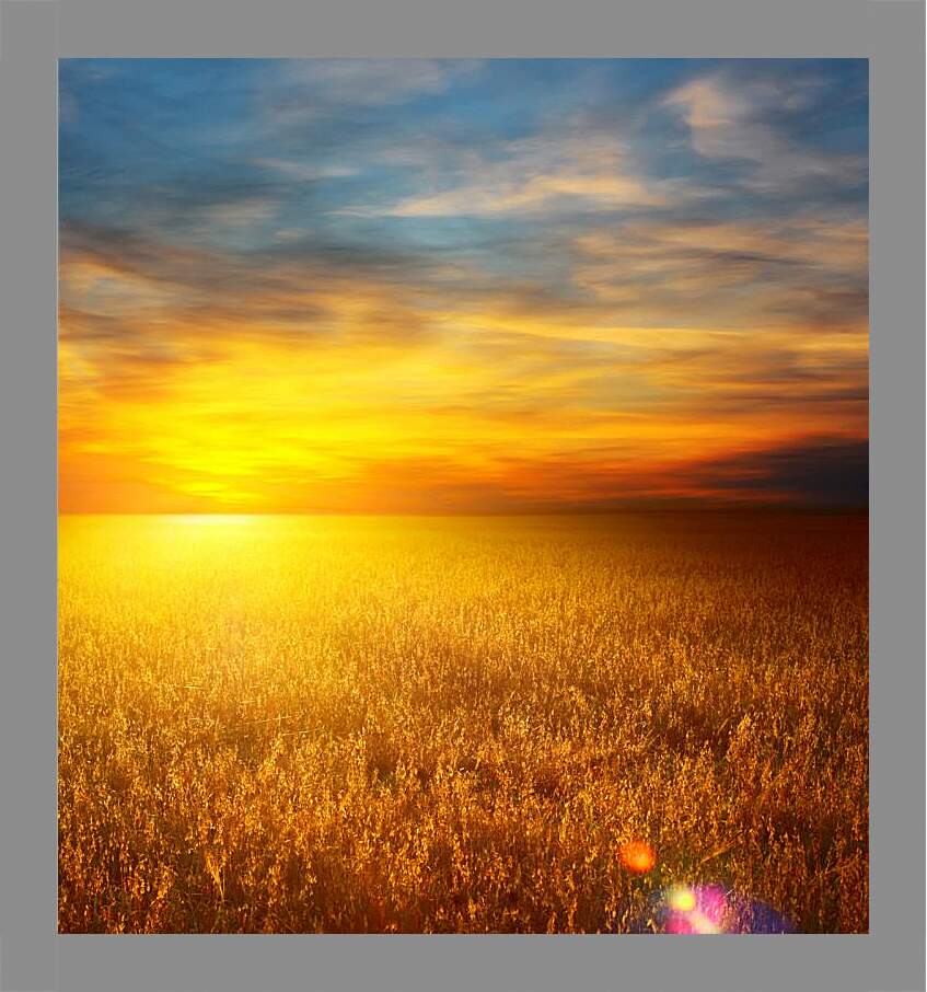 Картина в раме - Закат на пшеничном поле