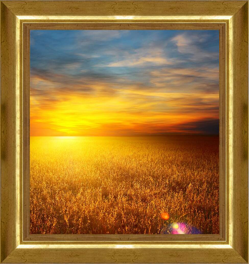 Картина в раме - Закат на пшеничном поле