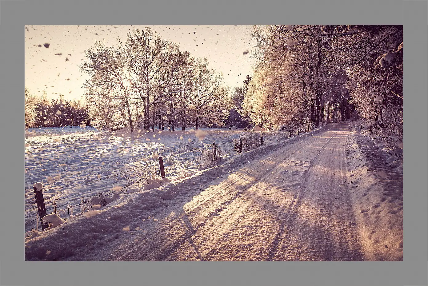 Картина в раме - Зима