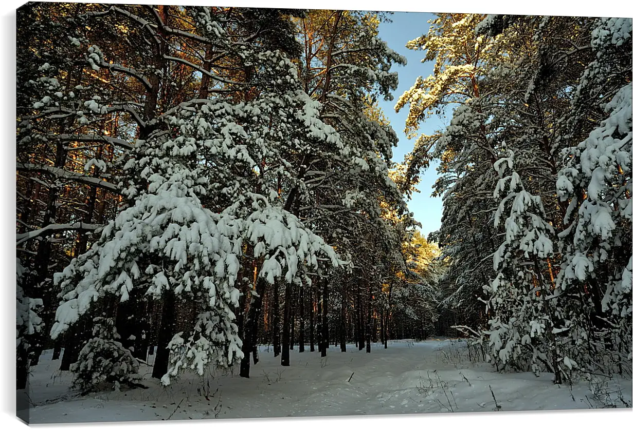 Постер и плакат - Зима