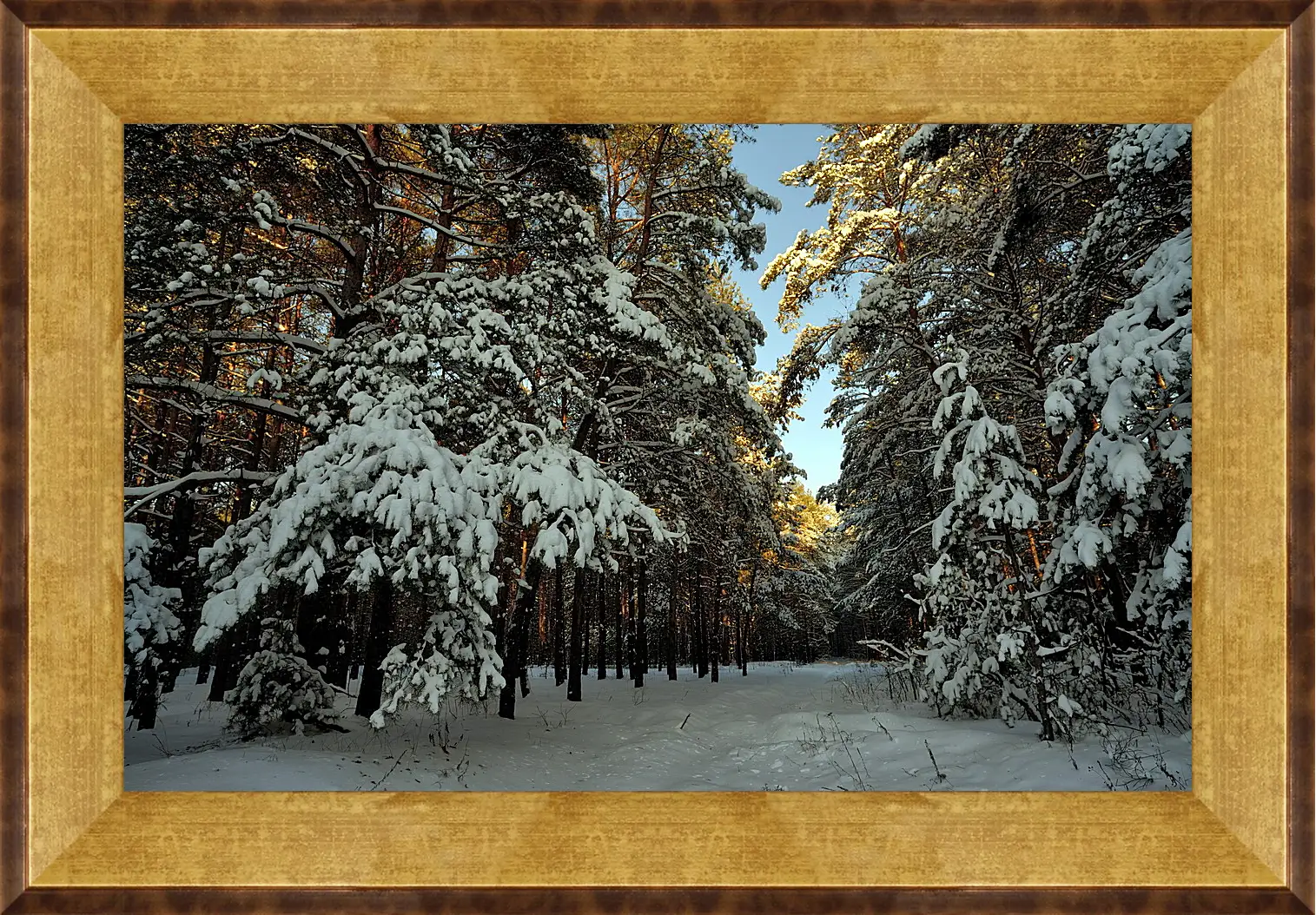 Картина в раме - Зима