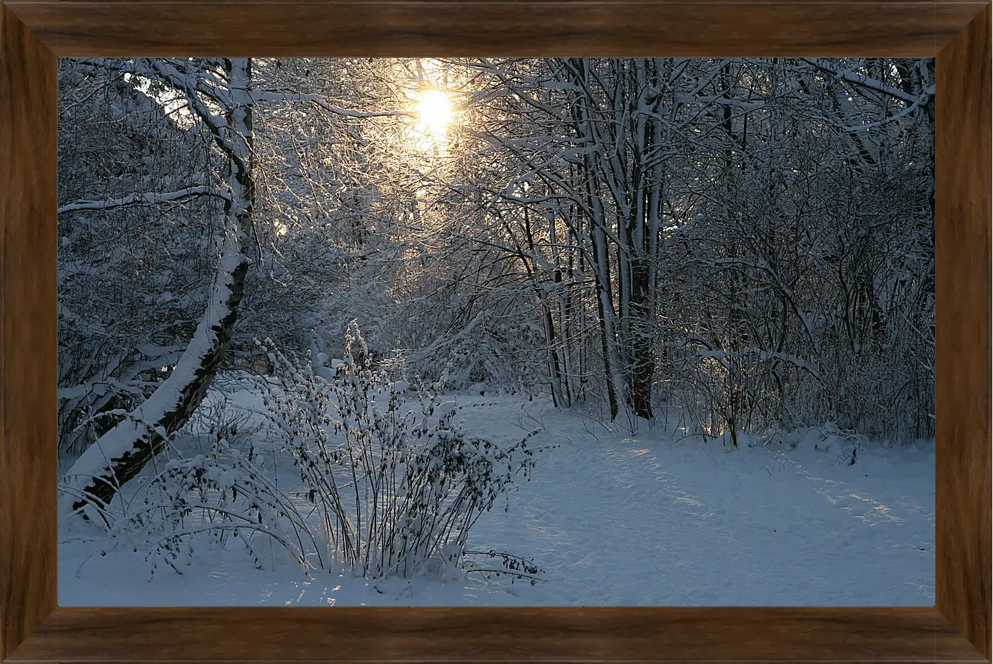 Картина в раме - Зима