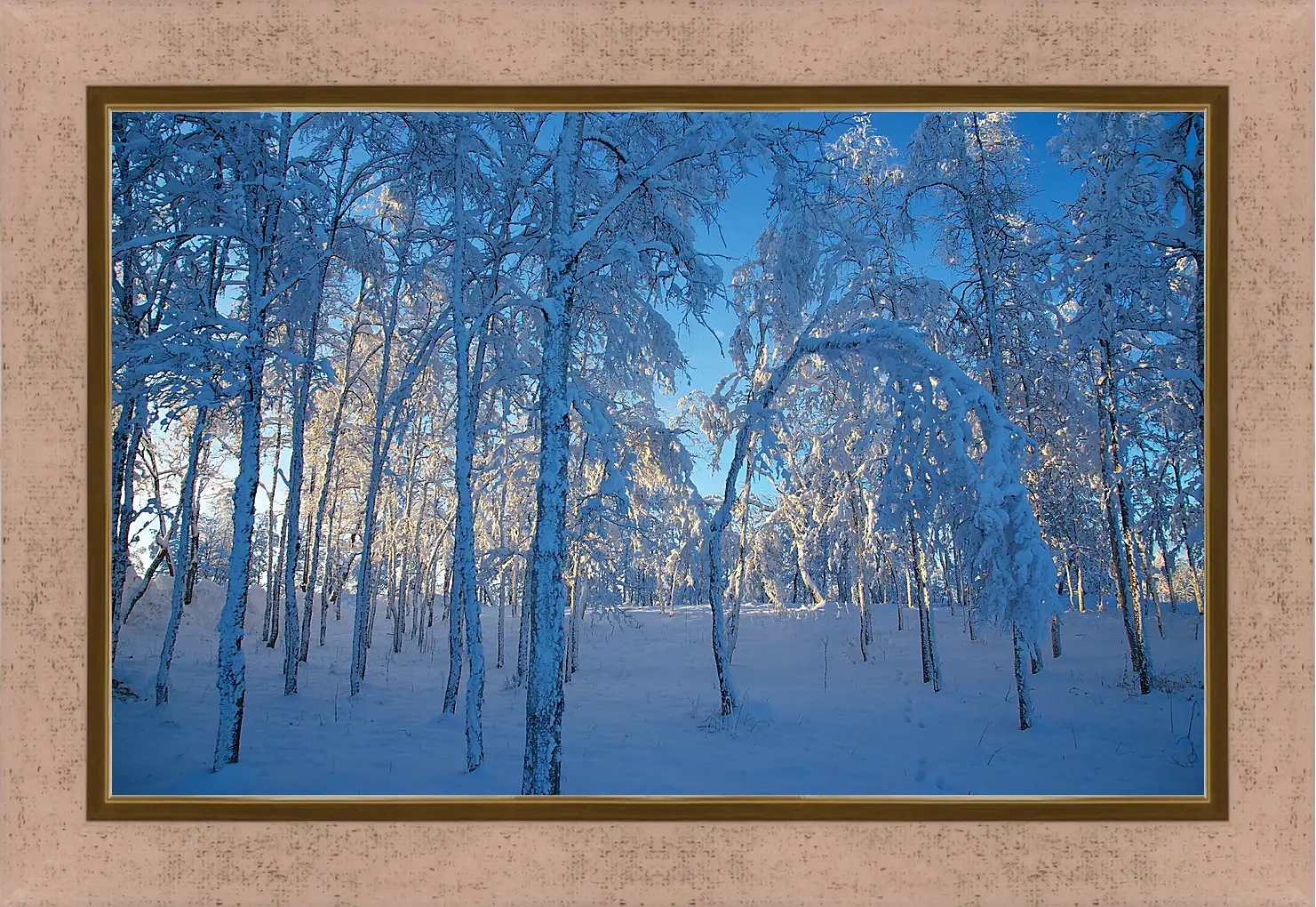 Картина в раме - Зима