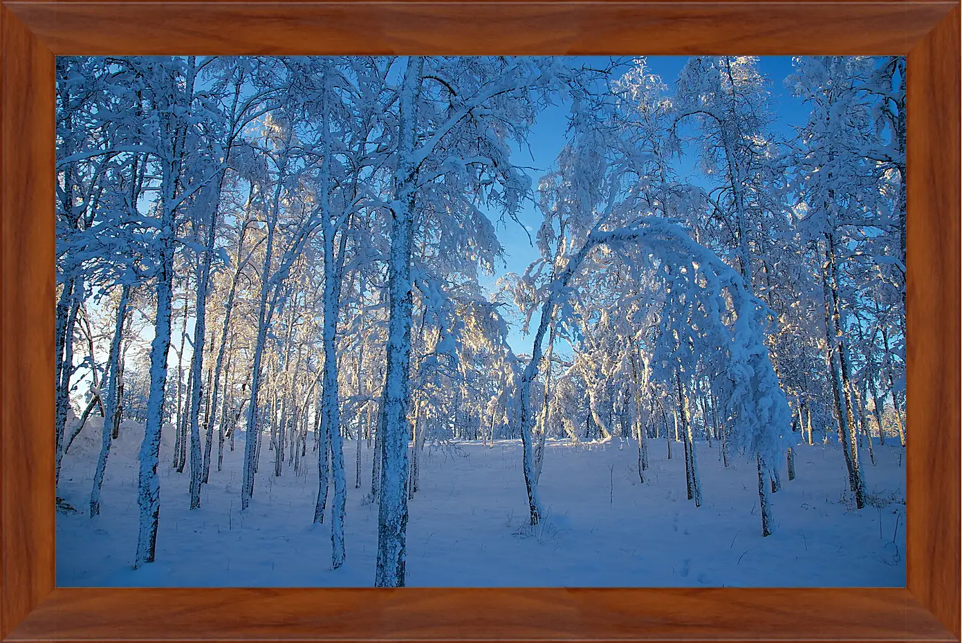 Картина в раме - Зима