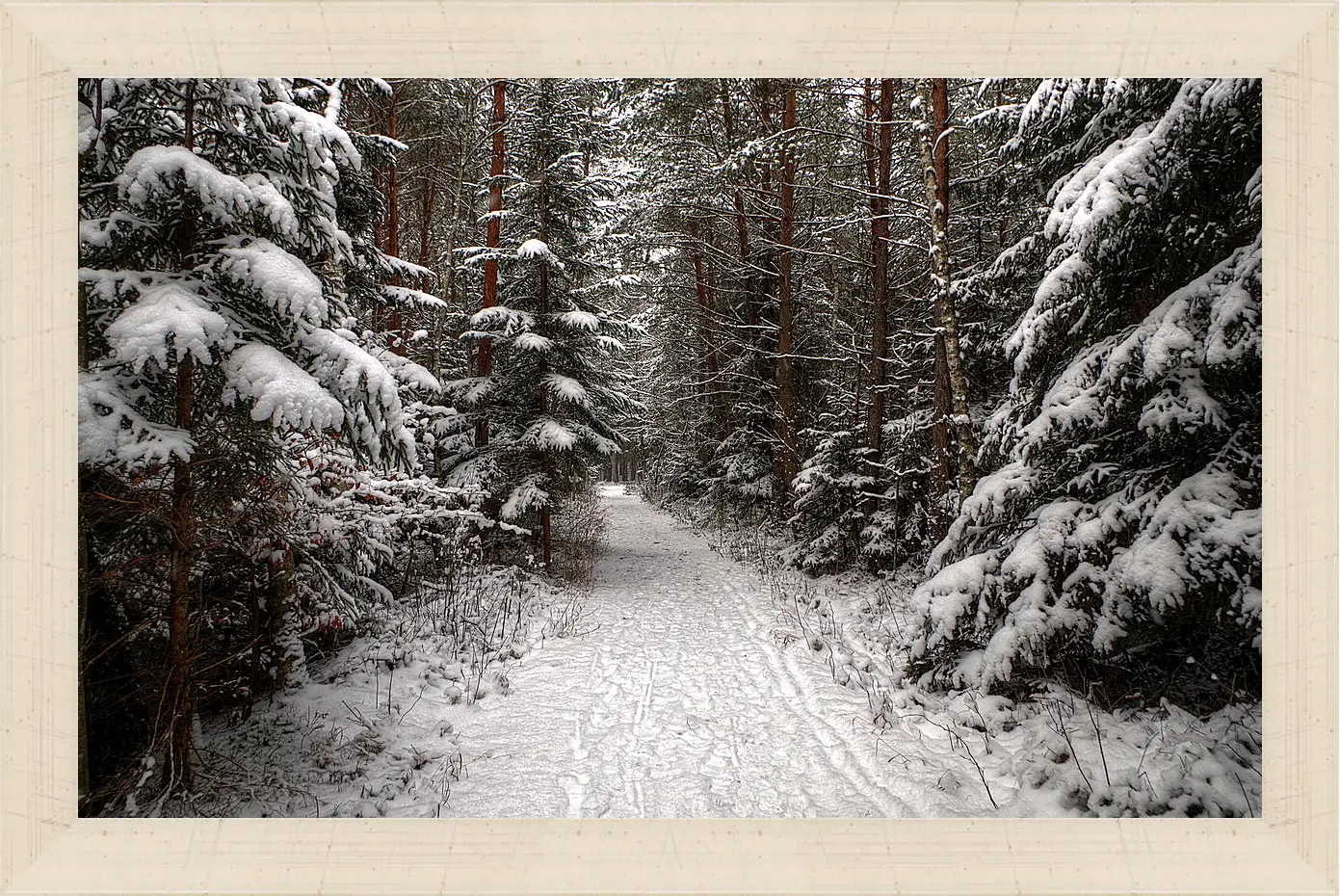 Картина в раме - Зима