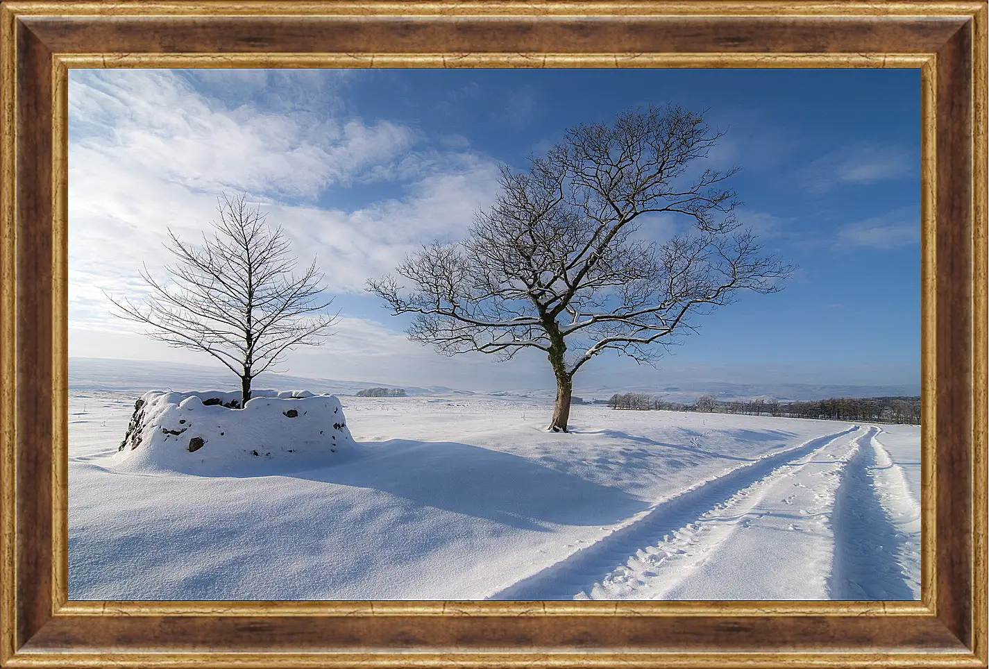 Картина в раме - Зима