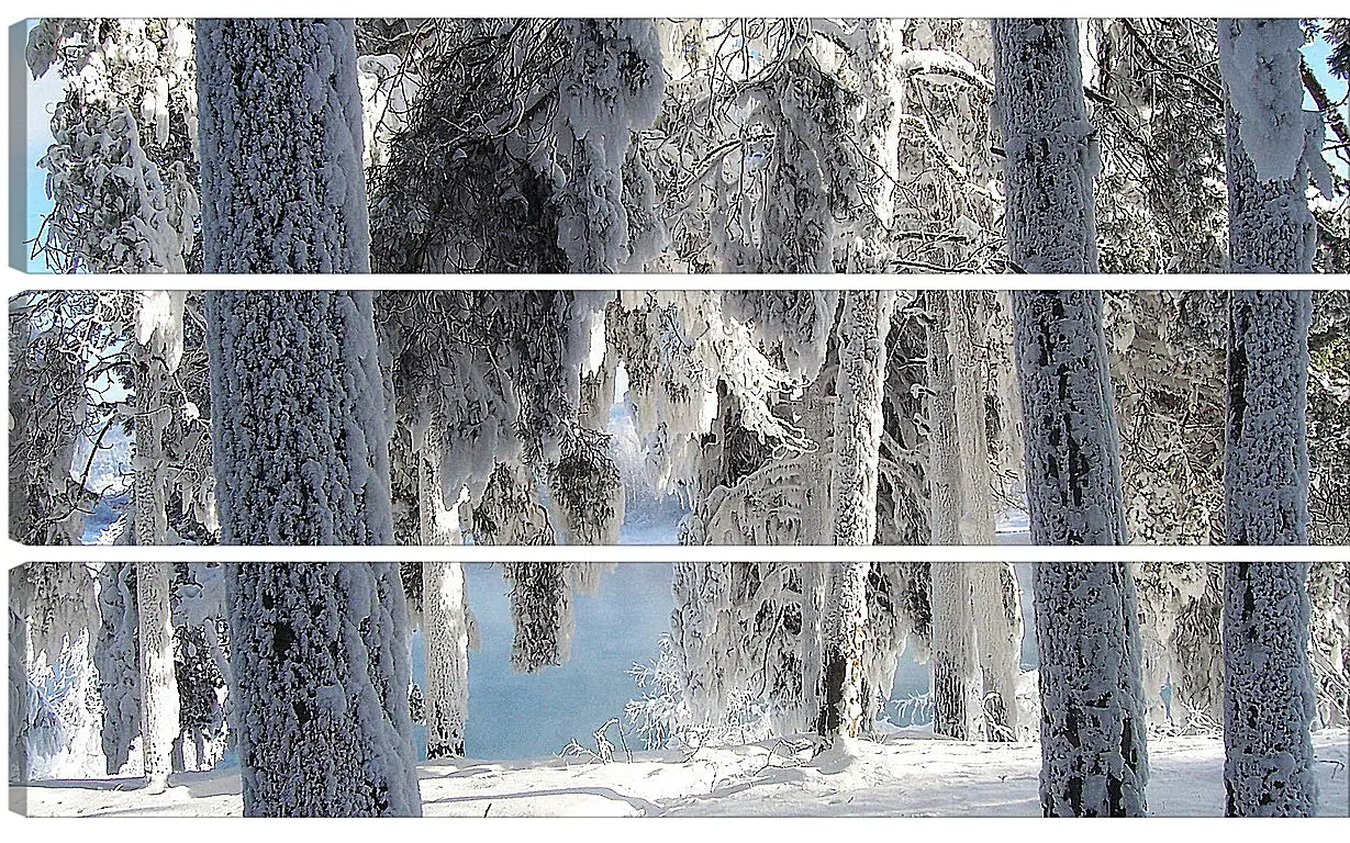 Модульная картина - Зима