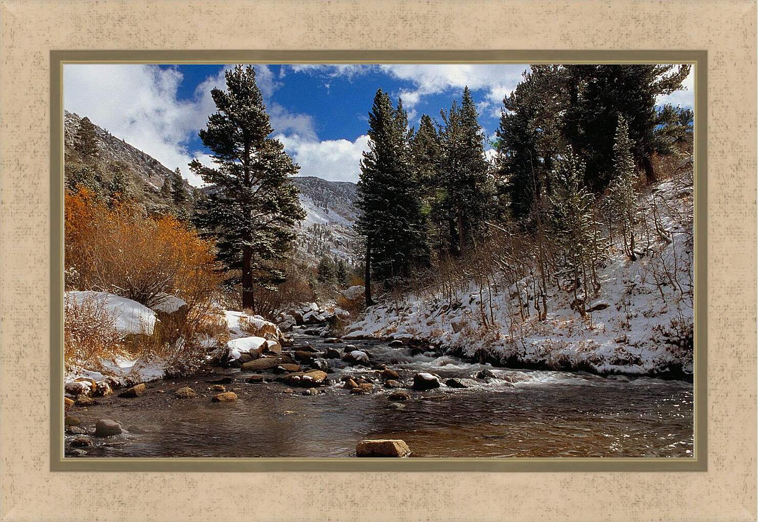 Картина в раме - Зима