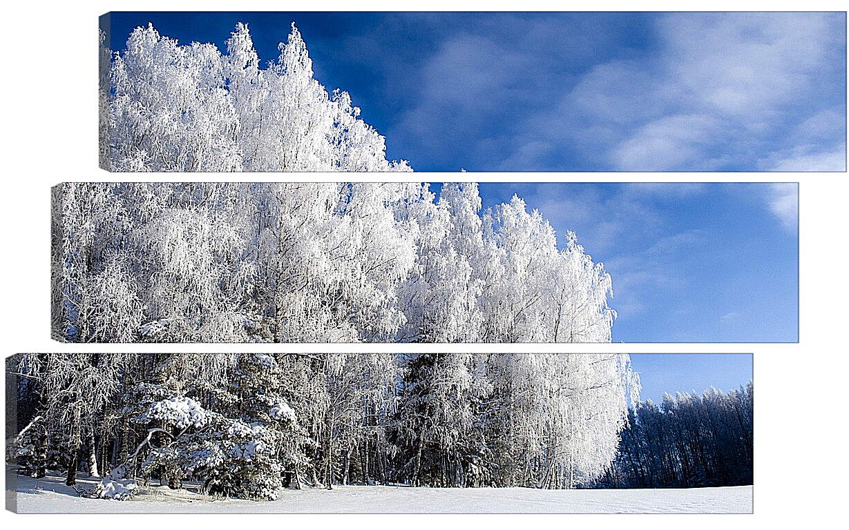 Модульная картина - Зима