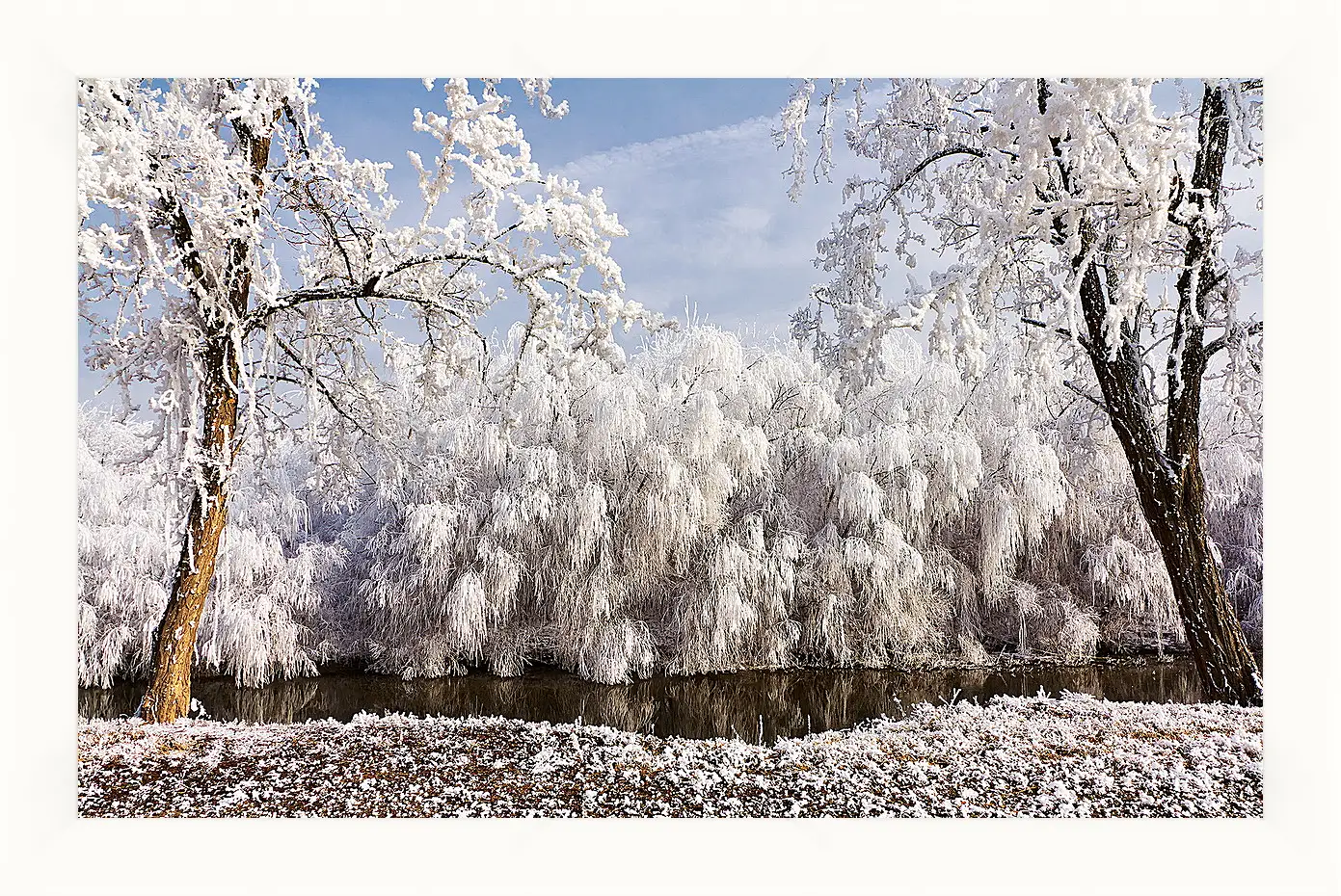 Картина в раме - Зима