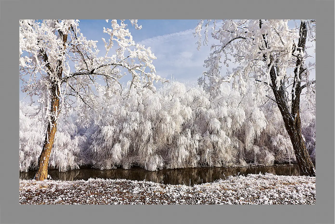 Картина в раме - Зима