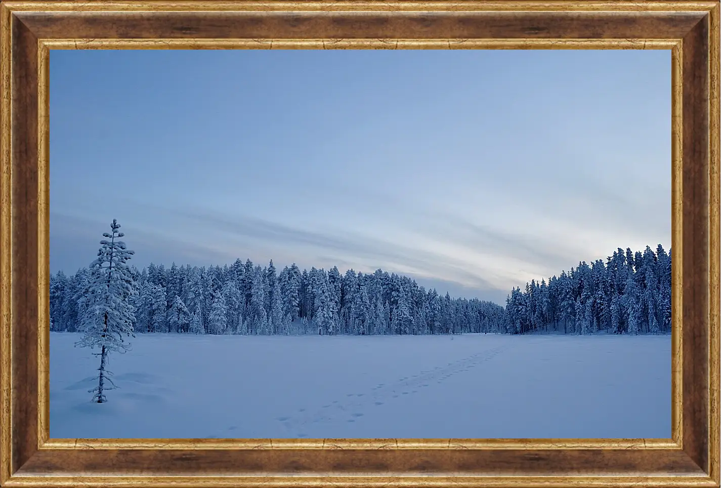 Картина в раме - Зима