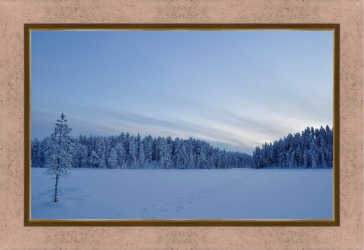 Картина в раме - Зима