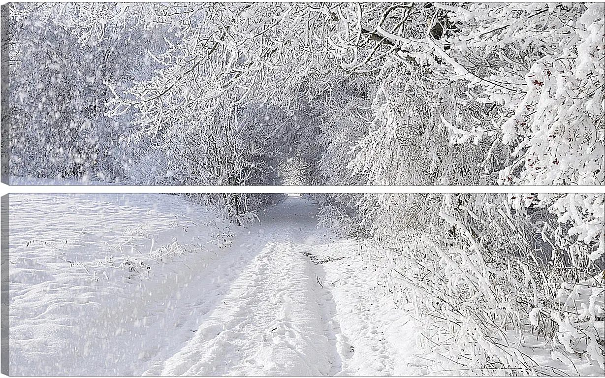 Модульная картина - Зима