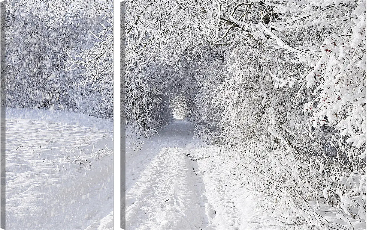 Модульная картина - Зима