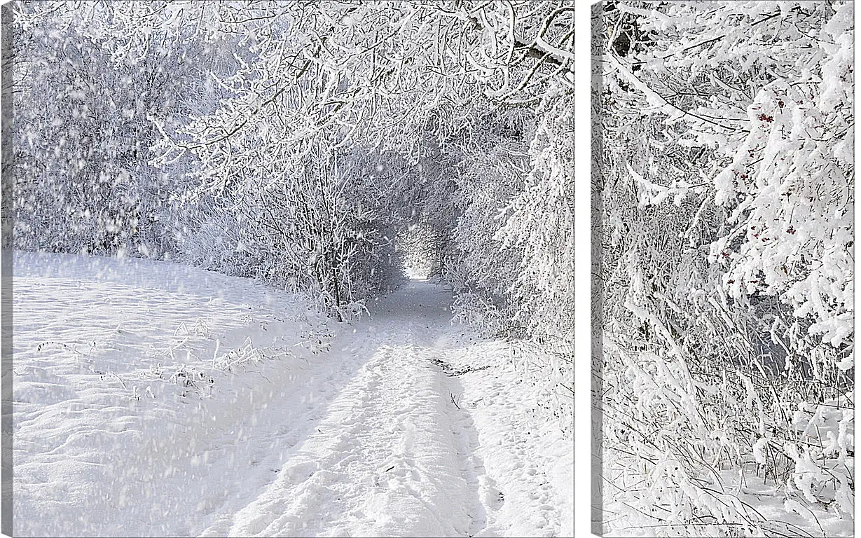 Модульная картина - Зима