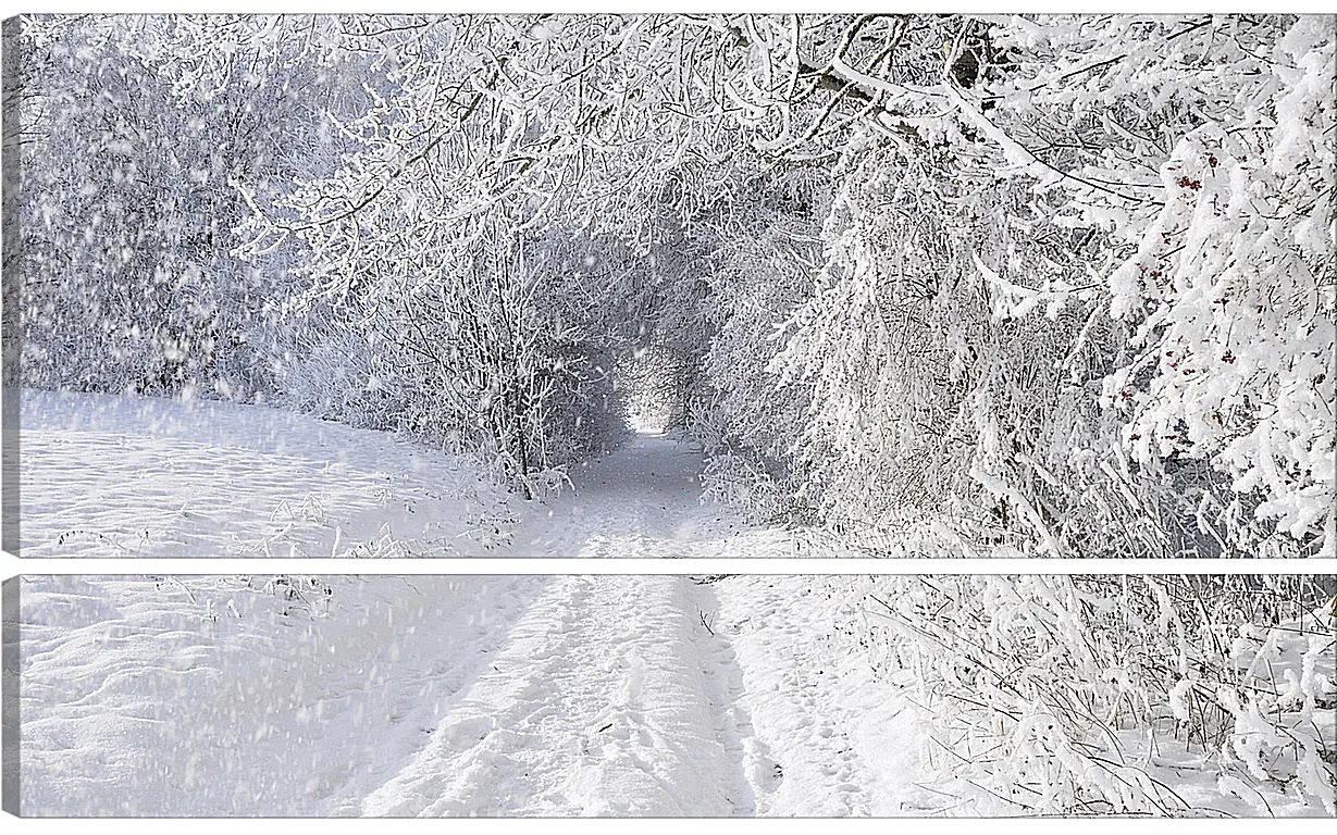 Модульная картина - Зима