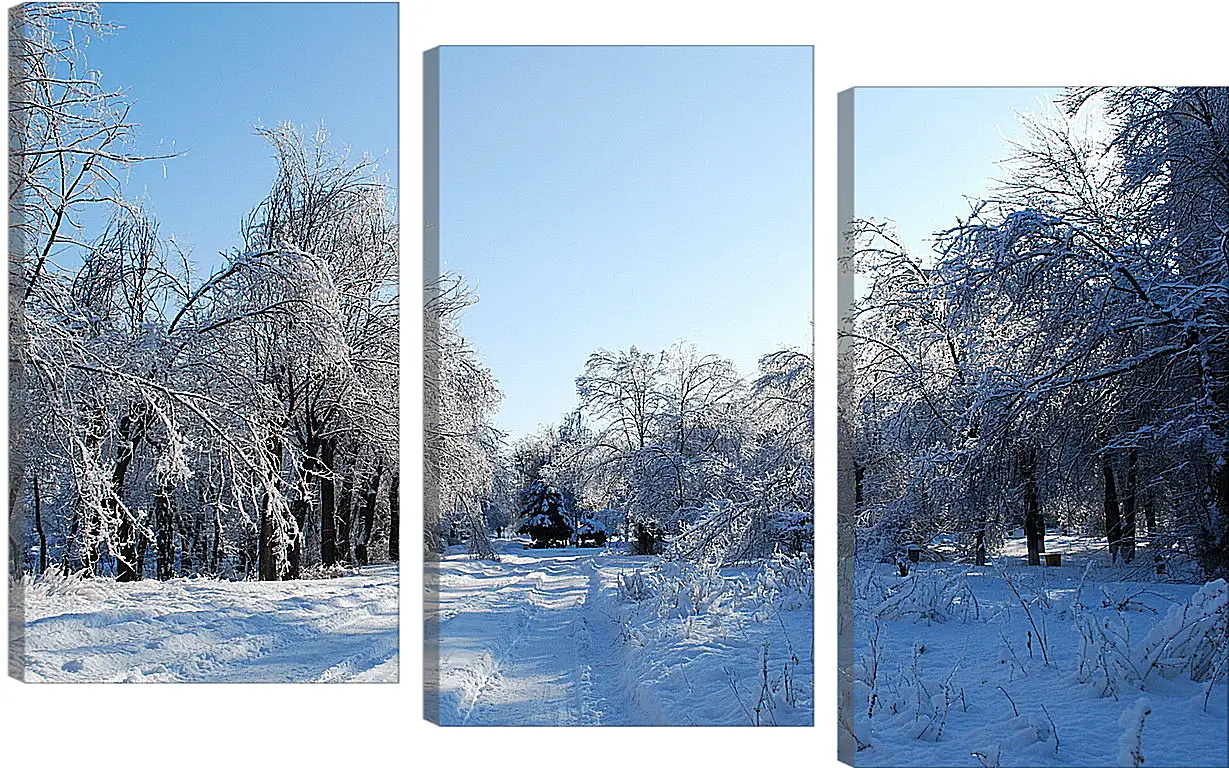 Модульная картина - Зима