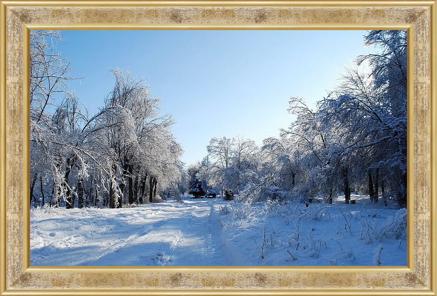 Картина в раме - Зима