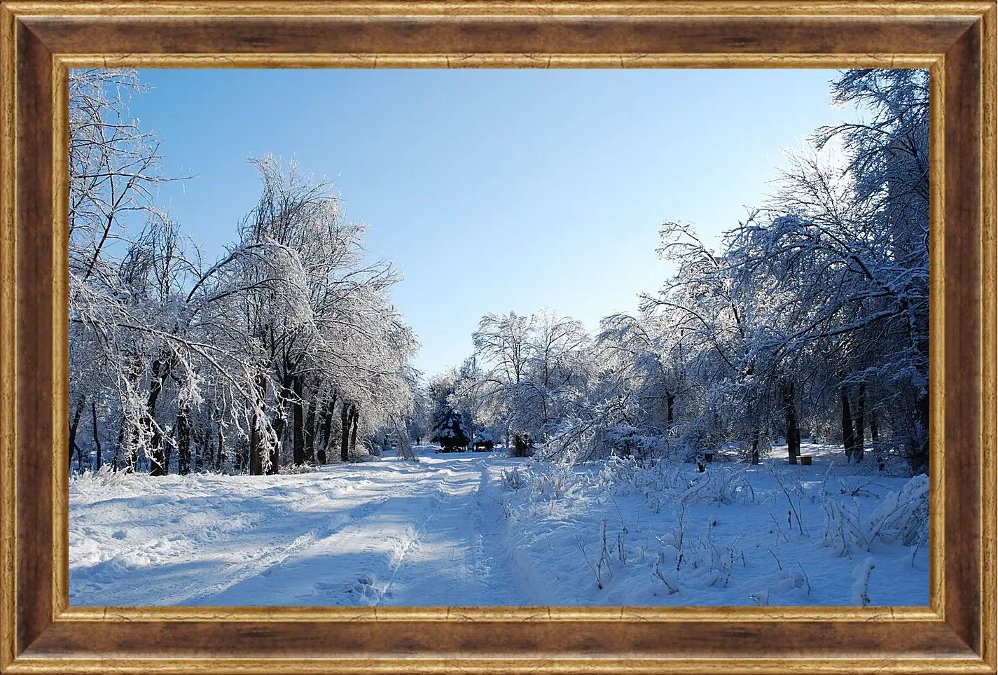 Картина в раме - Зима